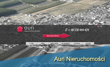 Auri Auri